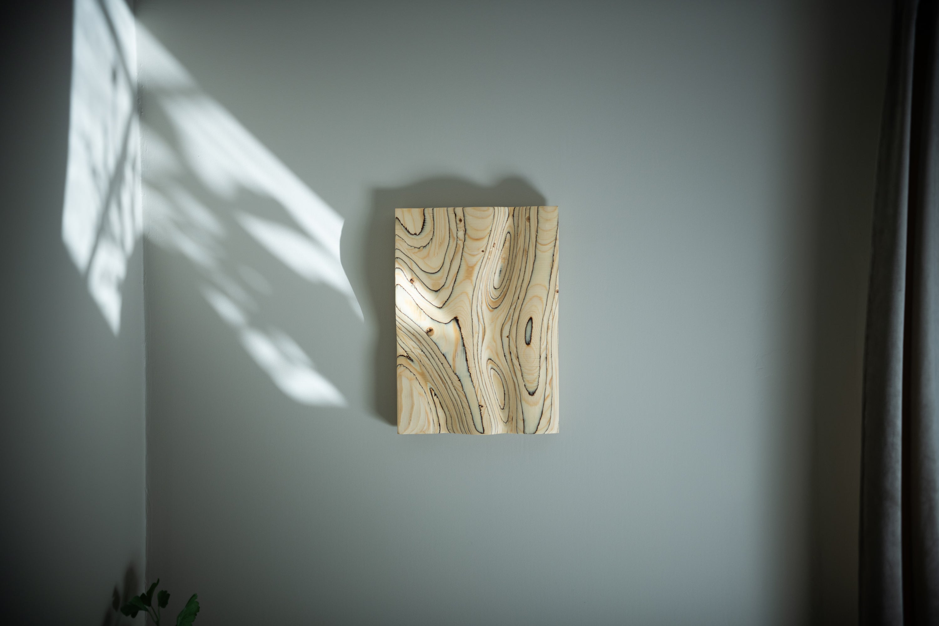 Urskog Trätavla Furu | Mellan - 40 x 30 cm